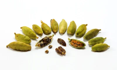 img cardamom
