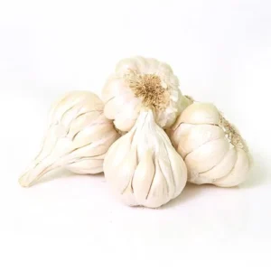 img garlic