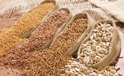 img oil seeds