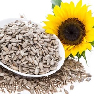 img sunflower